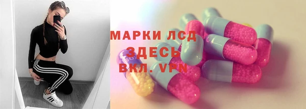 ГАЛЛЮЦИНОГЕННЫЕ ГРИБЫ Аркадак