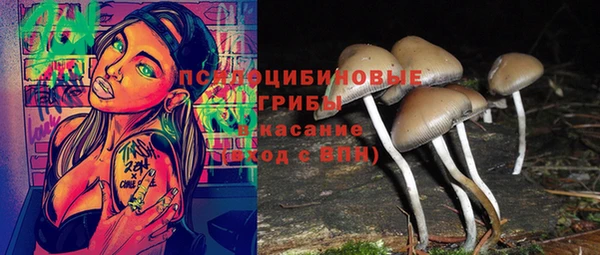 ГАЛЛЮЦИНОГЕННЫЕ ГРИБЫ Аркадак