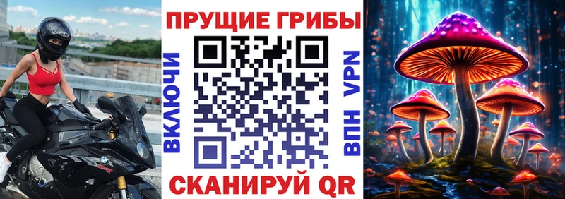Псилоцибиновые грибы Magic Shrooms Спасск-Дальний